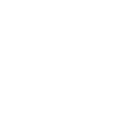 Domel Export